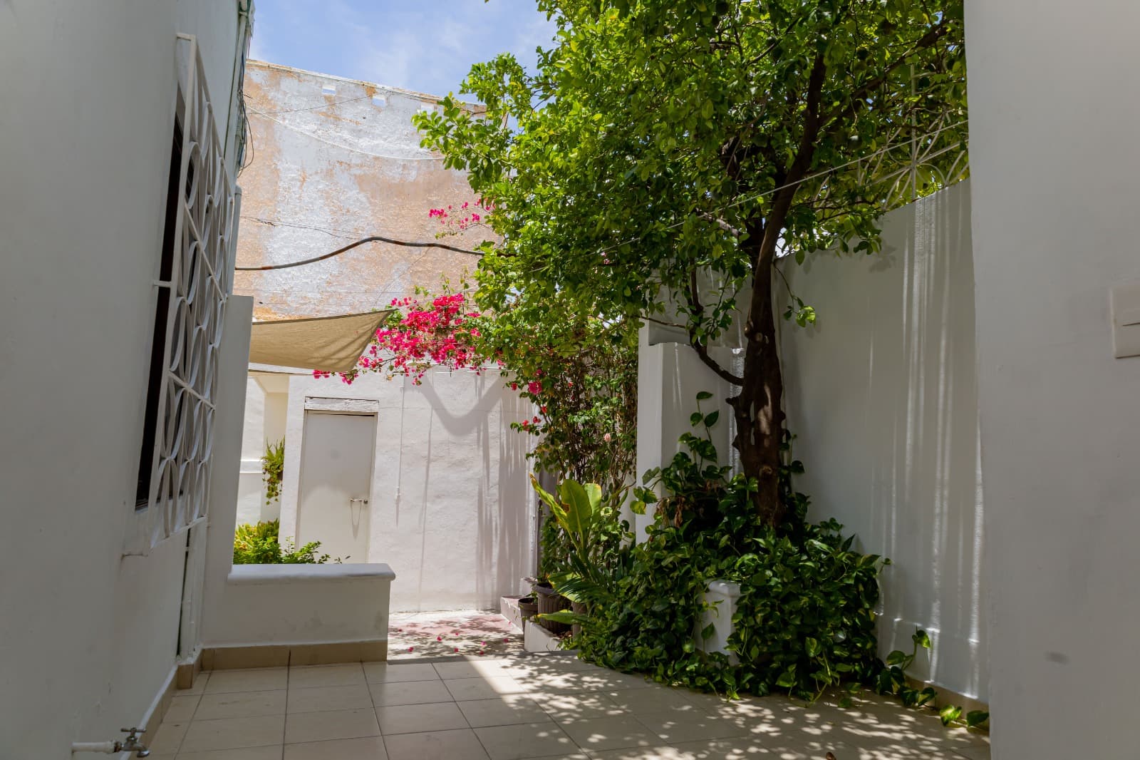 Hotel las Palmas Cancún imagen 4