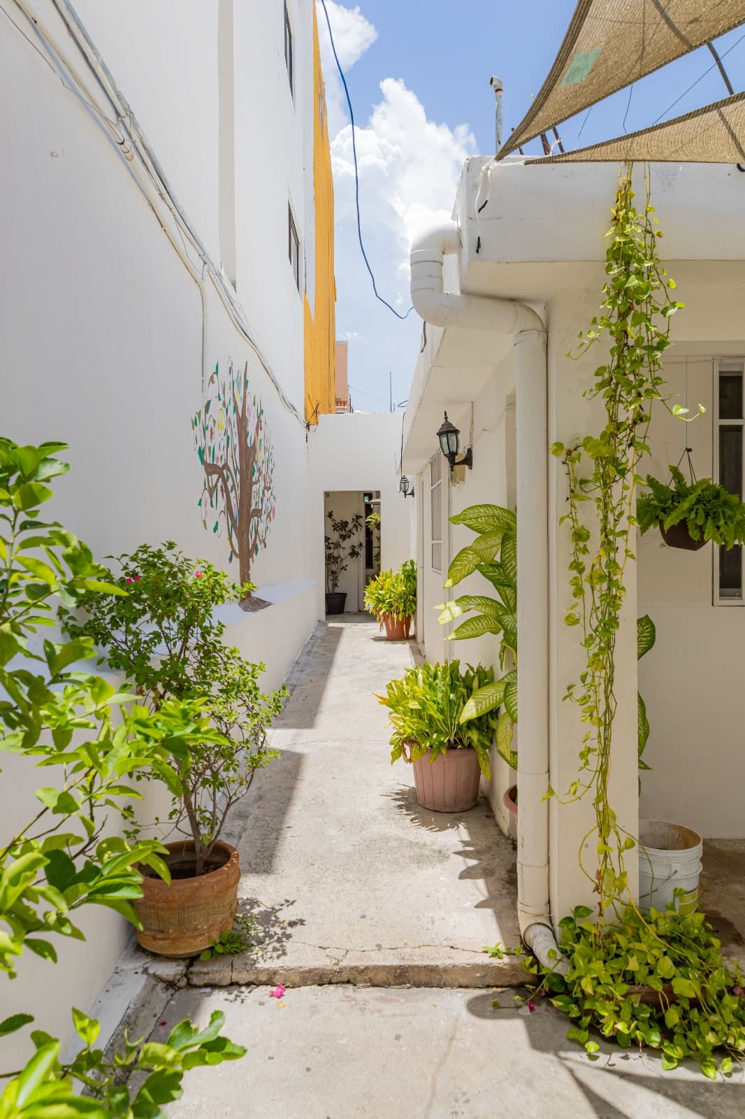 Hotel las Palmas Cancún imagen 11